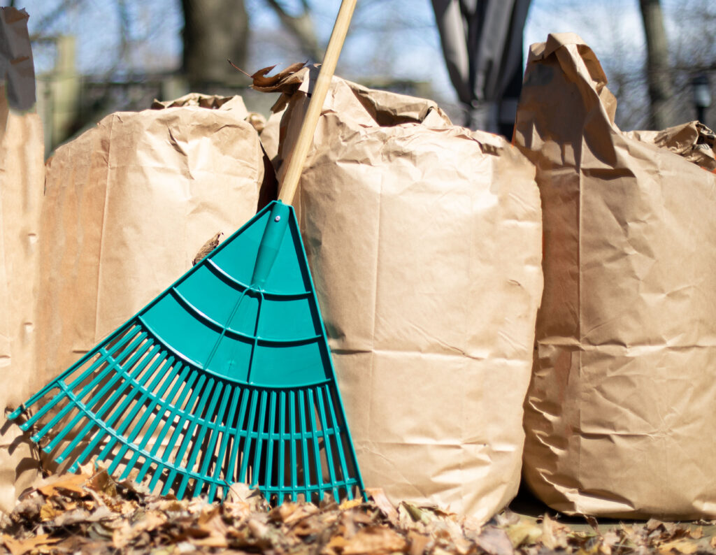 a row of paper leaf composting bags with a leaf rake leaning on