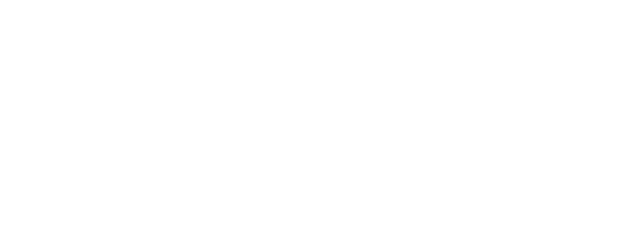 PRO4_Logo_White