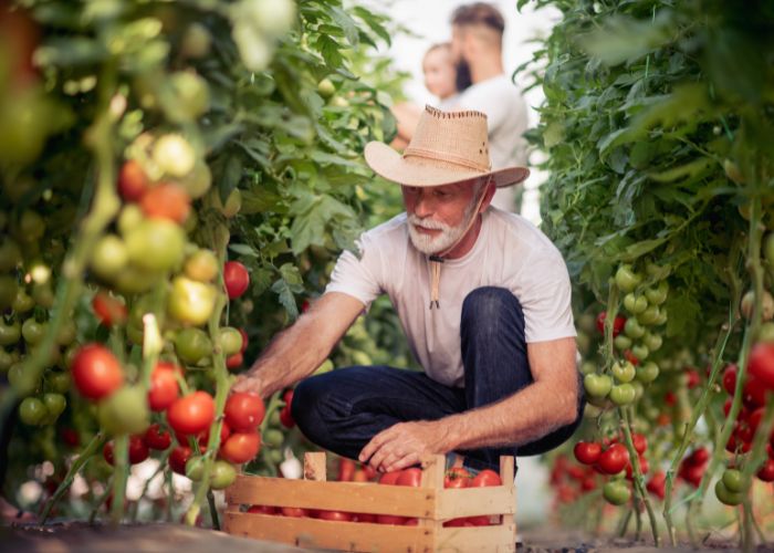 farmers market-bg3 (700 x 500 px) farmers market-bg3 (700 x 500 px)