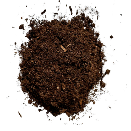 peat moss peat moss