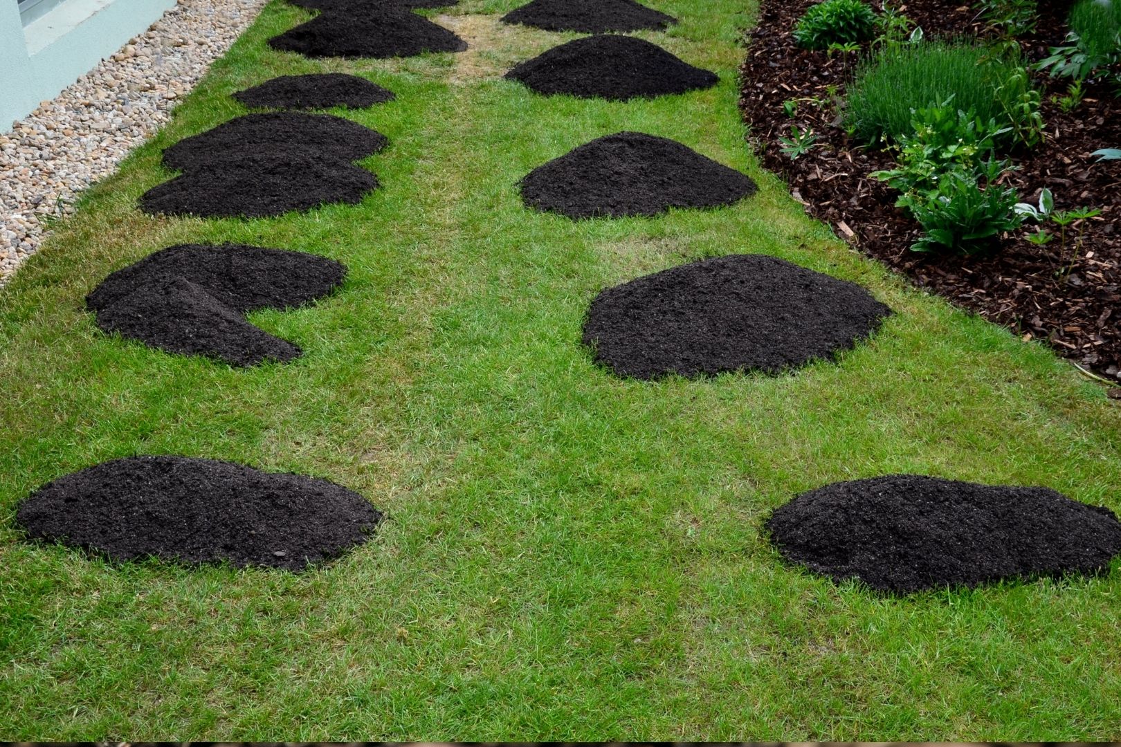 soil2
