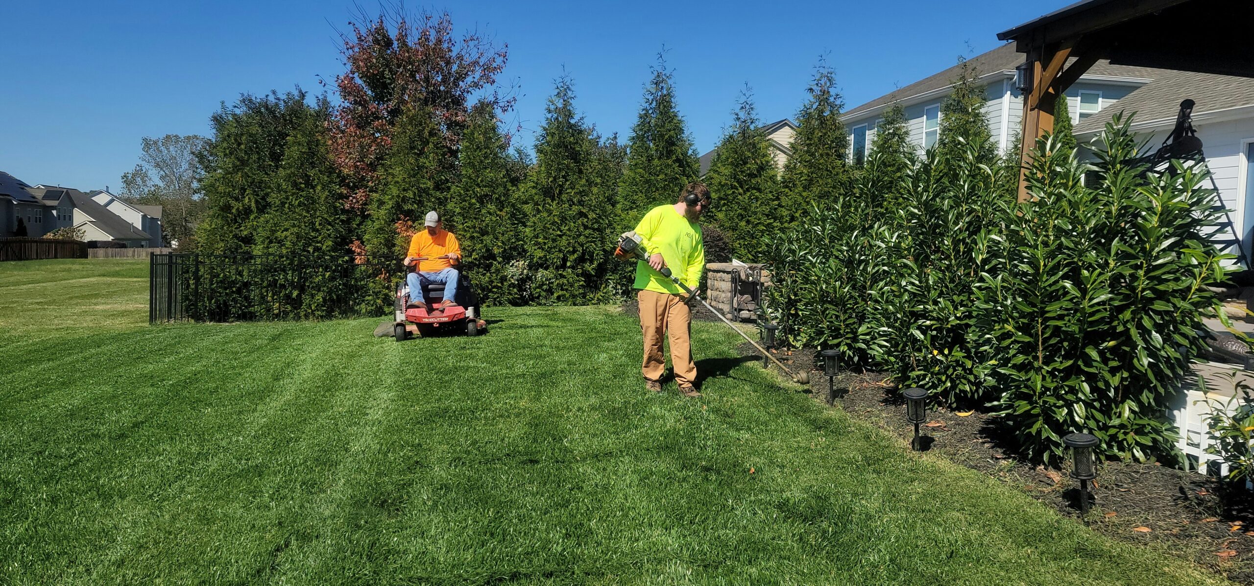 Landscaping professionals installing mulch on a job site