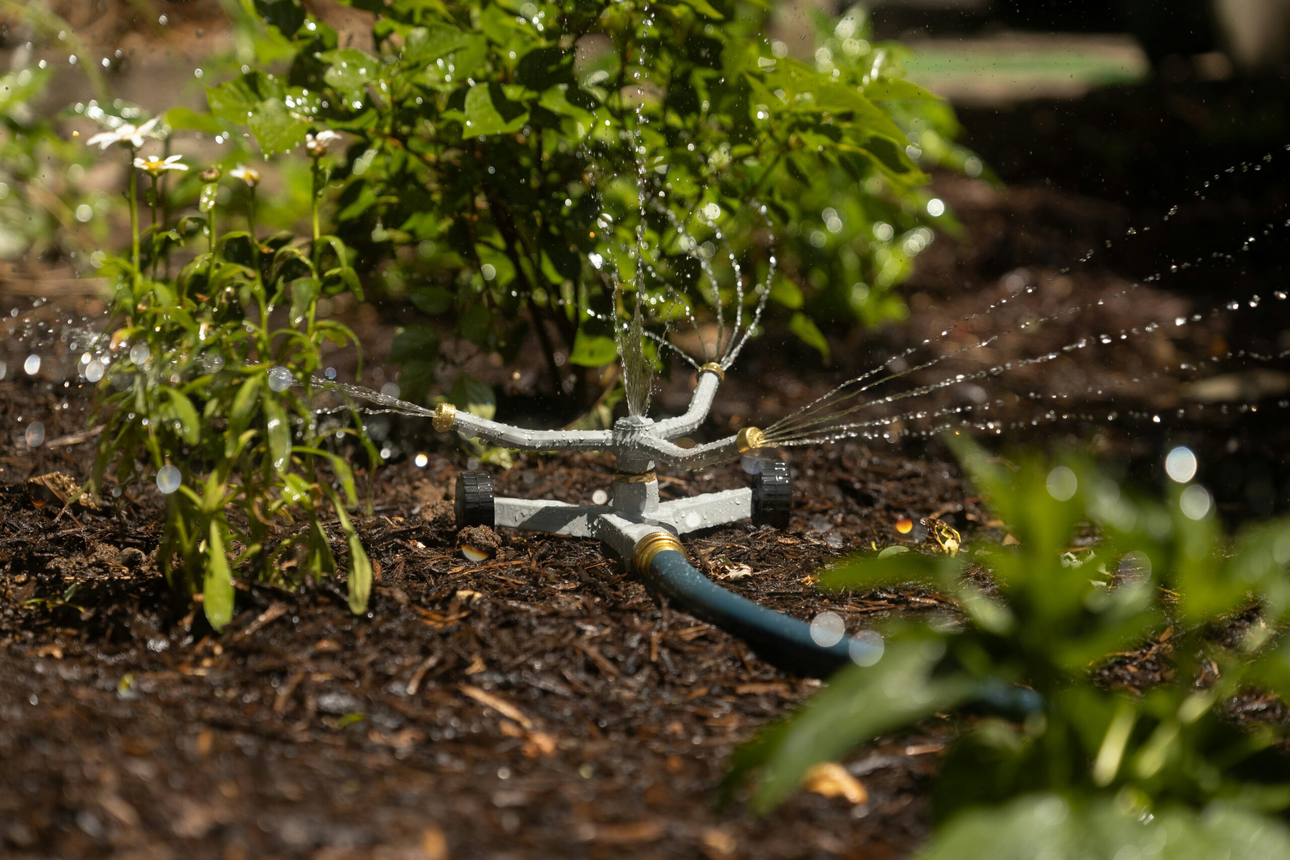 Mulch bed holding moisture after watering