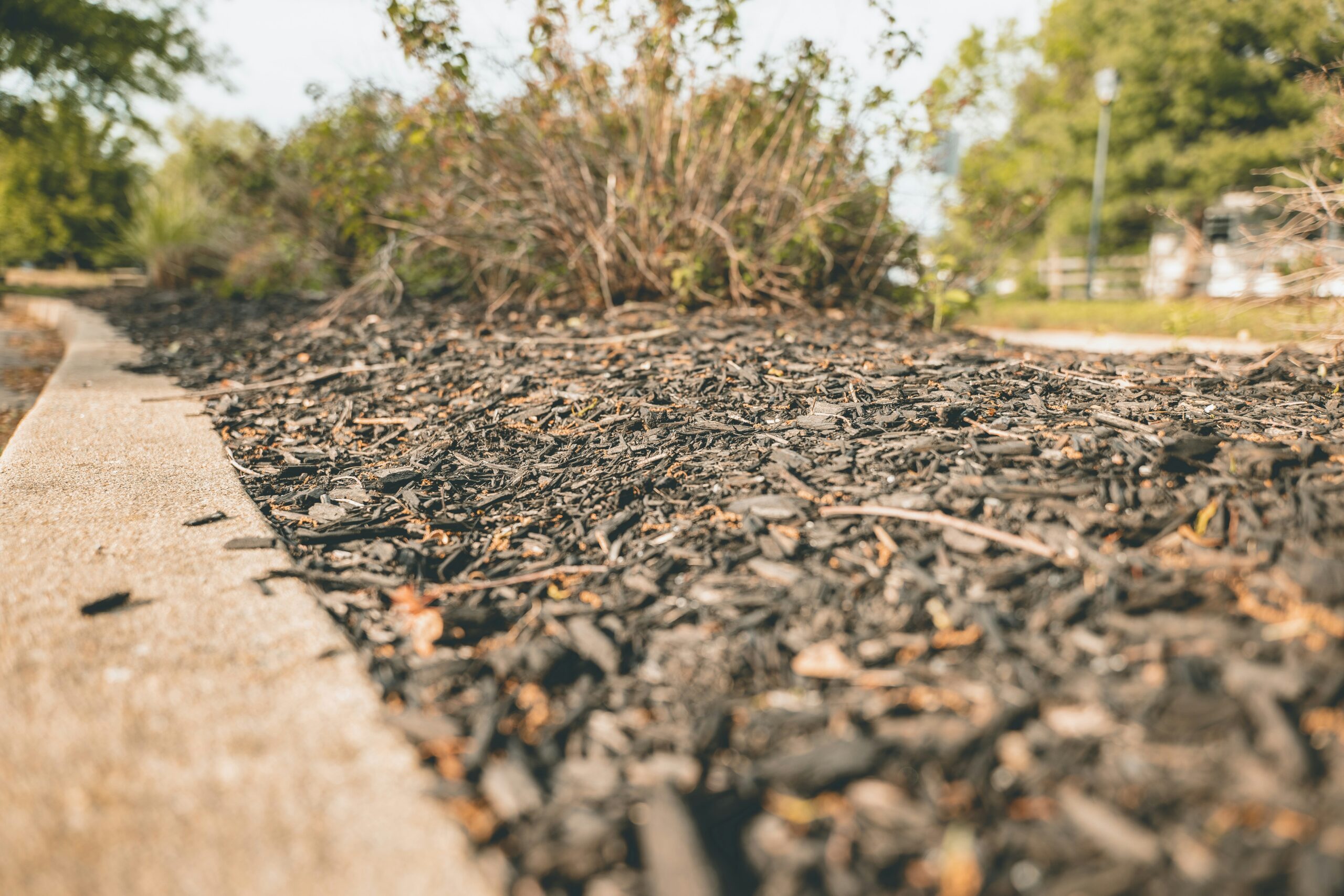 Close-up of Premium Colorado Log Mulch texture